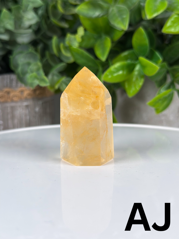 Golden Healer Towers From Brazil • Choose Your Own