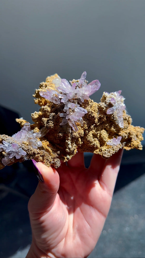 Amethyst "Flowers" with Sceptres, Reverse Sceptres & Calcite Associations on Matrix from "La Troje" Mine in Veracruz, Mexico (New Find!)