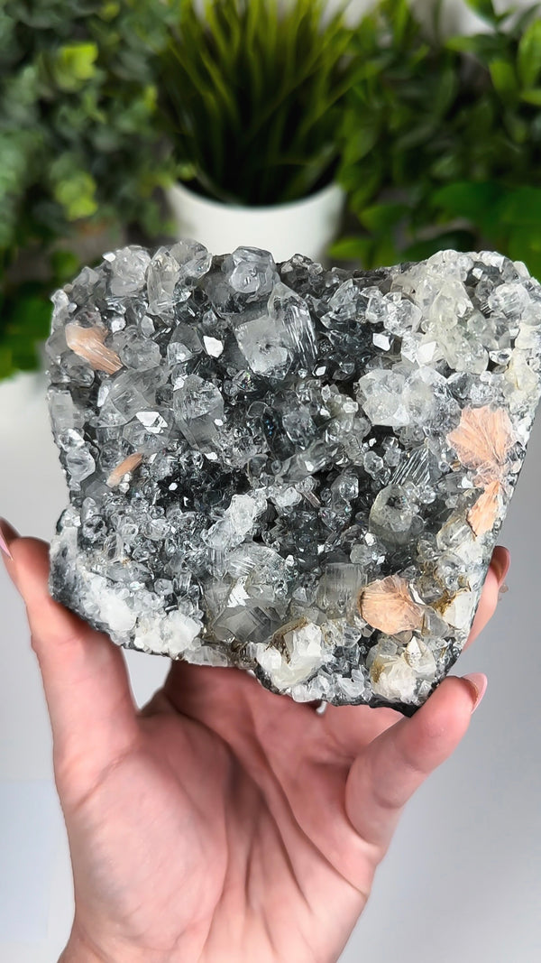 Black Diamond Apophyllite with Stilbite • Large Self-Standing Apophyllite, Stilbite & Black Chalcedony Crystal Specimen from India