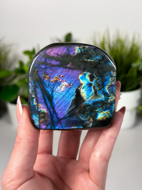 Labradorite Freeform From Madagascar