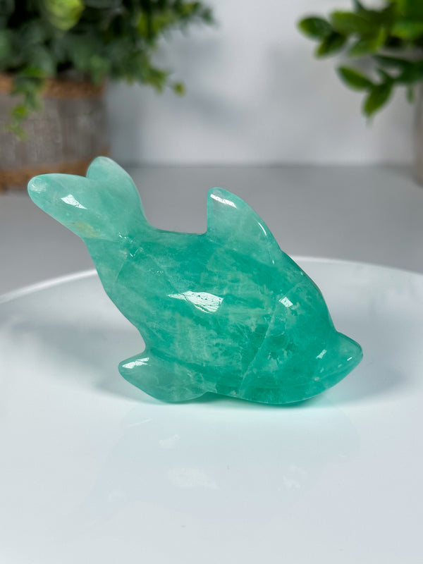 Fluorite Dolphin Carving • Gemmy Blue / Green Fluorite Crystal Dolphin Carving