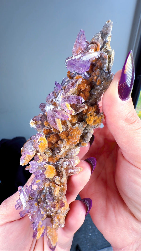 Amethyst "Flowers" with Sceptres, Reverse Sceptres & Calcite Associations on Matrix from "La Troje" Mine in Veracruz, Mexico (New Find!)