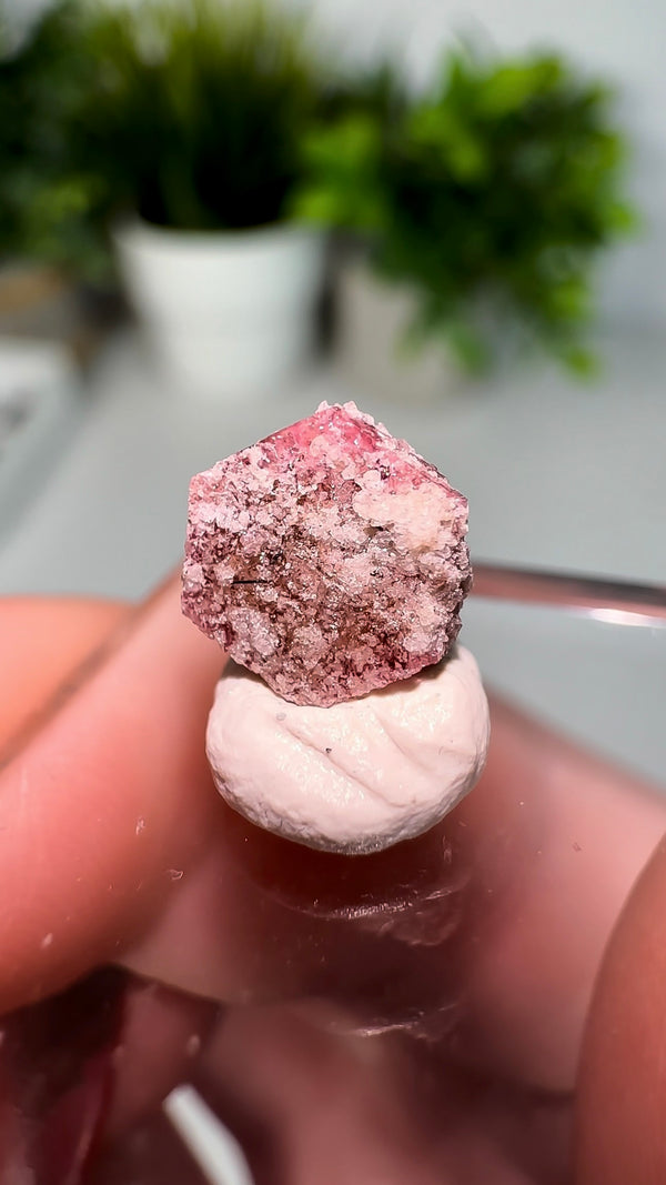 Scarlet Emerald (Red Beryl/Bixbite) from Thomas Range, Utah