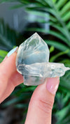 Blue Tara Quartz Specimen from Itacambira, Brazil