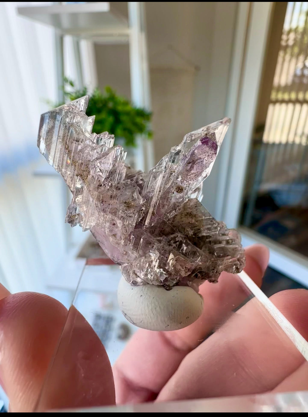 Just Found: Vera Cruz Amethyst With Selenite