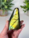 Labradorite Freeform From Madagascar