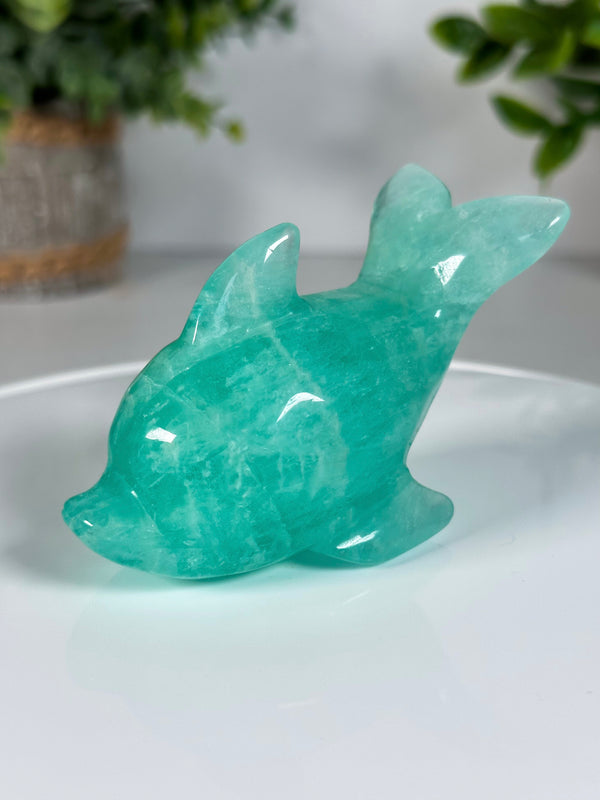Fluorite Dolphin Carving • Gemmy Blue / Green Fluorite Crystal Dolphin Carving