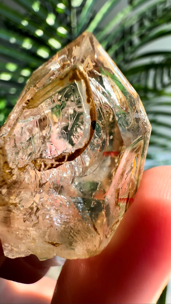 Enhydro Smokey Skeletal Fenster Quartz from Goboboseb Mountains, Brandberg Area, Erongo Region, Namibia