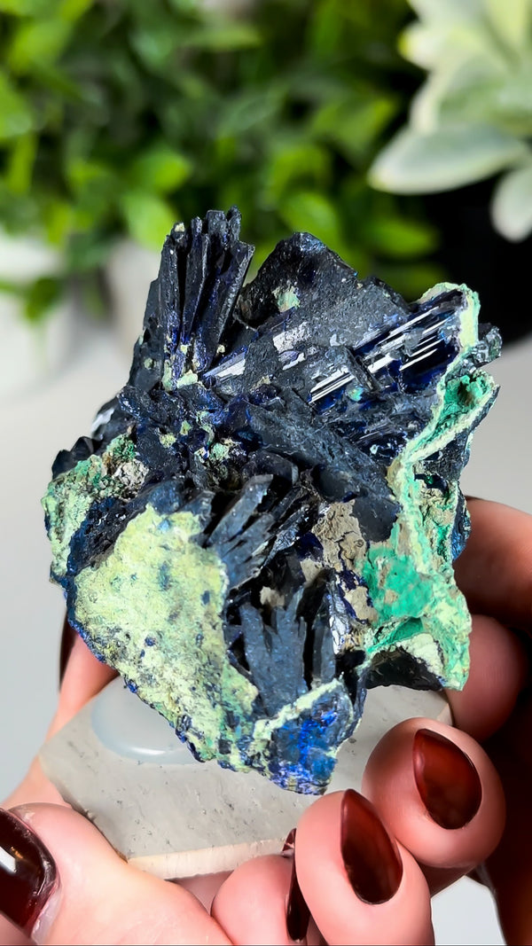 Azurite with Malachite from Tsumeb Mine, Tsumeb, Oshikoto Region, Namibia
