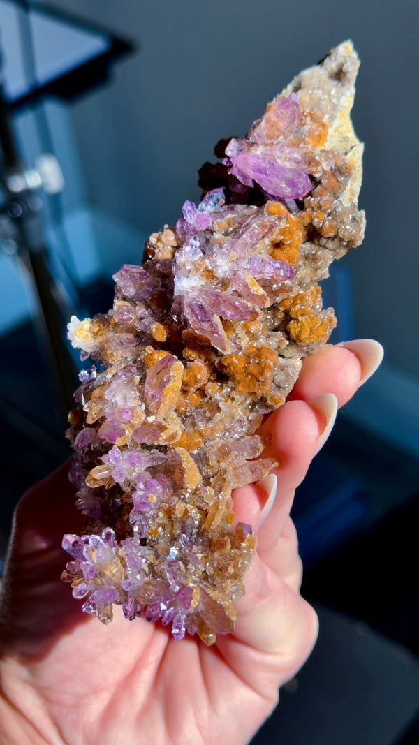 Amethyst "Flowers" with Sceptres, Reverse Sceptres & Calcite Associations on Matrix from "La Troje" Mine in Veracruz, Mexico (New Find!)