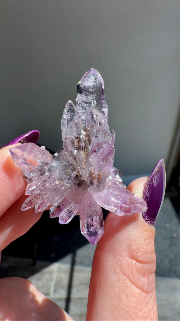 Amethyst "Flowers" with Sceptres, Reverse Sceptres & Calcite Associations on Matrix from "La Troje" Mine in Veracruz, Mexico (New Find!)