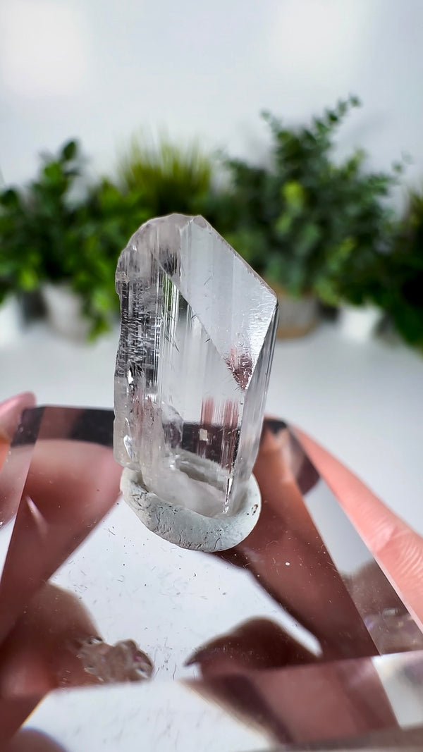 Gem Danburite Specimen from Aurora Mine, Charcas, San Luis Potosí, Mexico