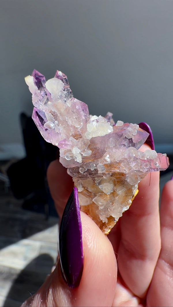 Amethyst "Flowers" with Sceptres, Reverse Sceptres & Calcite Associations on Matrix from "La Troje" Mine in Veracruz, Mexico (New Find!)