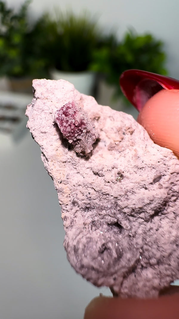Scarlet Emerald on Rhyolite Matrix (Red Beryl/Bixbite) from Thomas Range, Utah