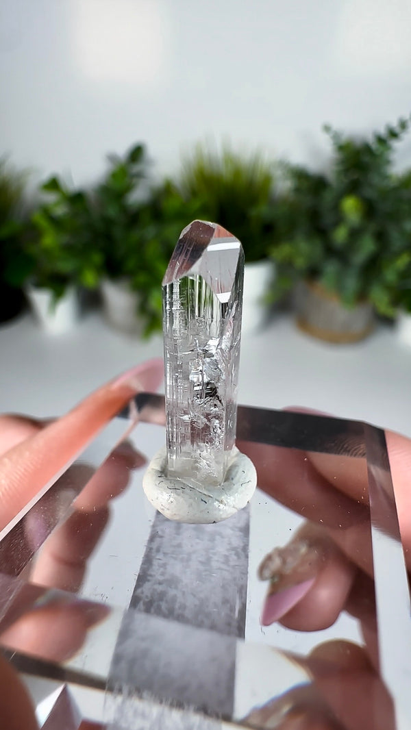 Gem Danburite Specimen from Aurora Mine, Charcas, San Luis Potosí, Mexico