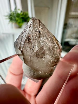 Smokey Fenster Quartz From Mt Goboboseb Namibia #2