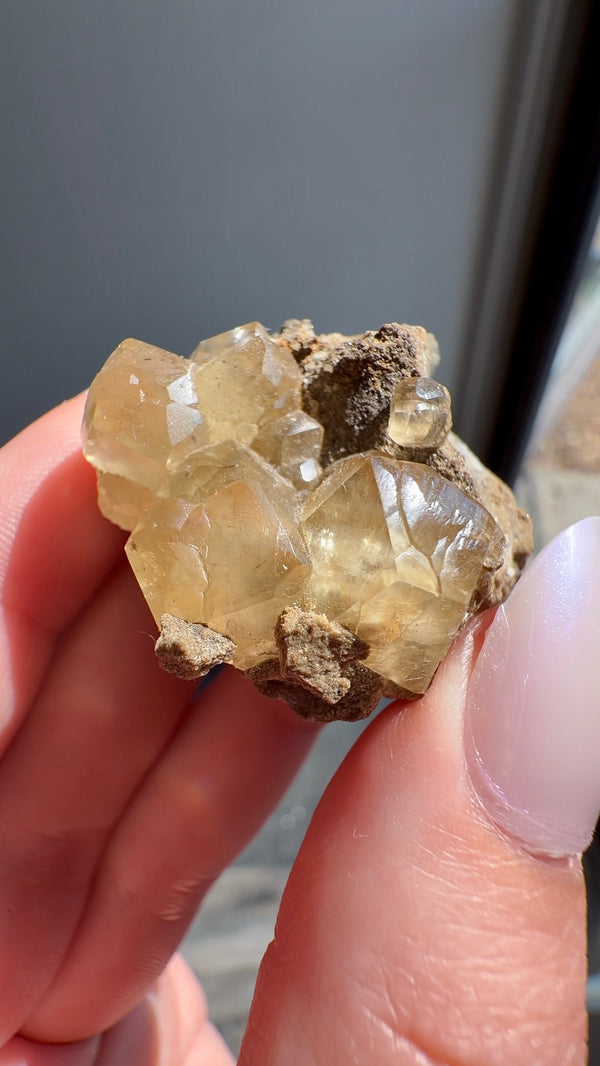 Calcite from North Vernon, Jennings County, Indiana, USA