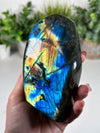 Labradorite Freeform From Madagascar