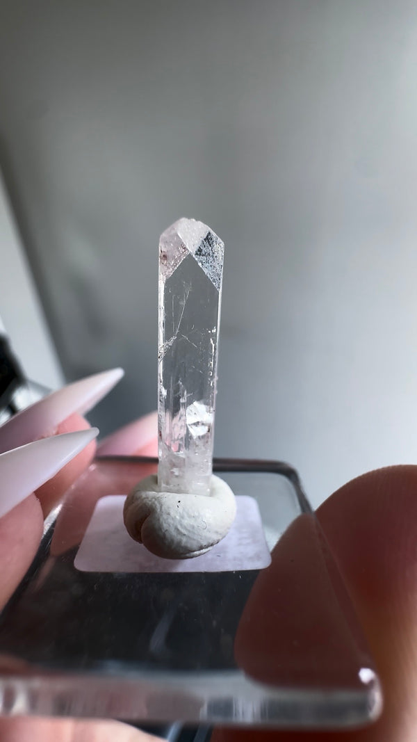 Gem Danburite Specimen from Aurora Mine, Charcas, San Luis Potosí, Mexico