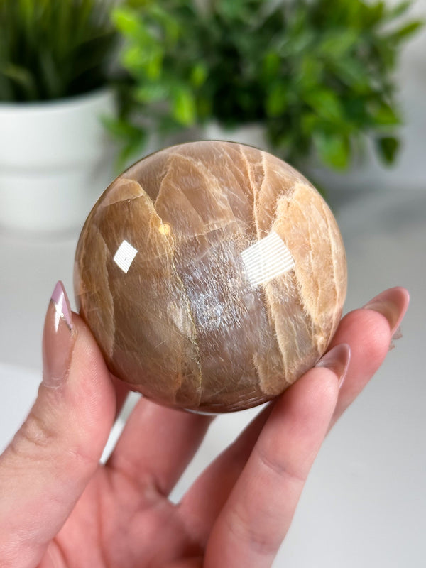 Flashy Peach Moonstone Sphere from Madagascar