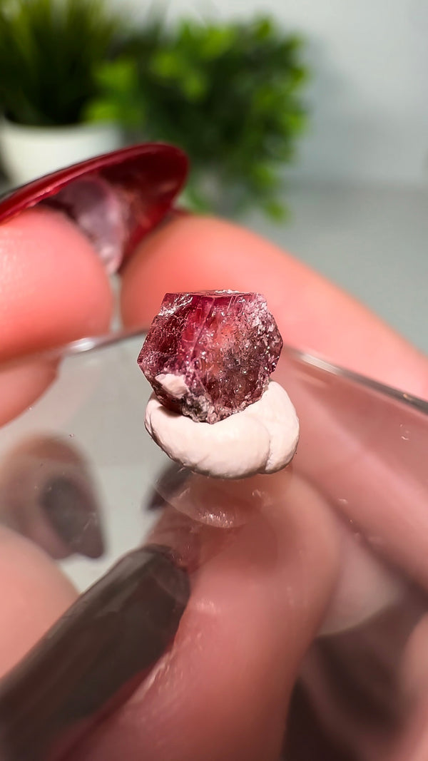 Scarlet Emerald (Red Beryl/Bixbite) from Thomas Range, Utah