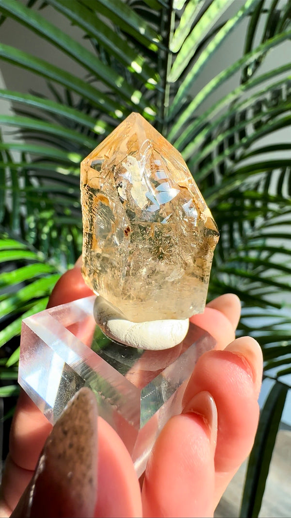Enhydro Smokey Skeletal Fenster Quartz from Goboboseb Mountains, Brandberg Area, Erongo Region, Namibia