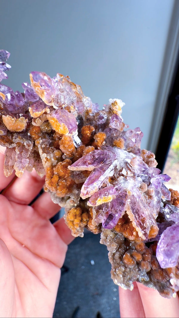 Amethyst "Flowers" with Sceptres, Reverse Sceptres & Calcite Associations on Matrix from "La Troje" Mine in Veracruz, Mexico (New Find!)