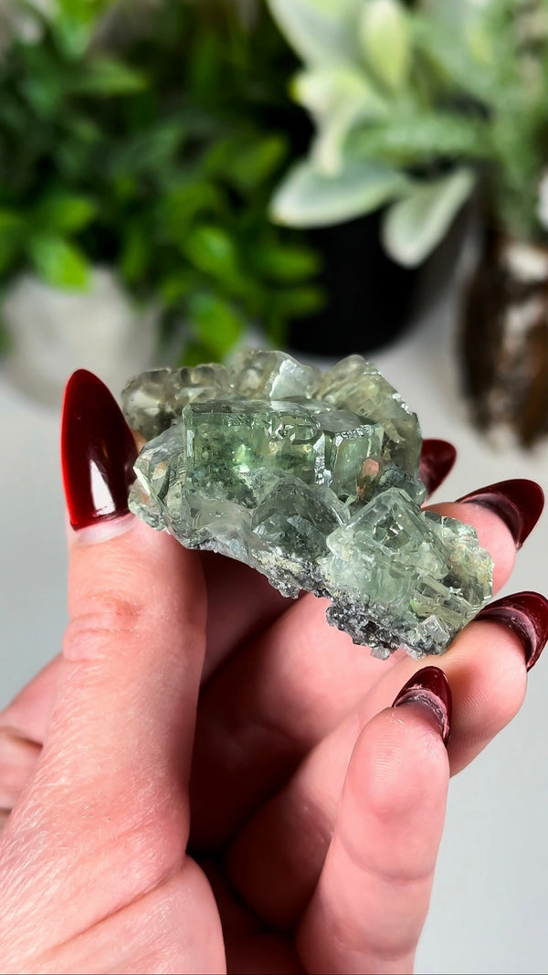 Glassy Green Fluorite with Beveled Edges from Xianghuapu Mine