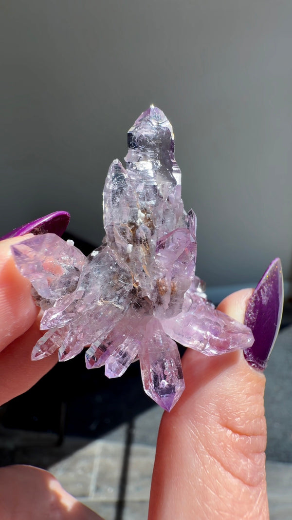 Amethyst "Flowers" with Sceptres, Reverse Sceptres & Calcite Associations on Matrix from "La Troje" Mine in Veracruz, Mexico (New Find!)