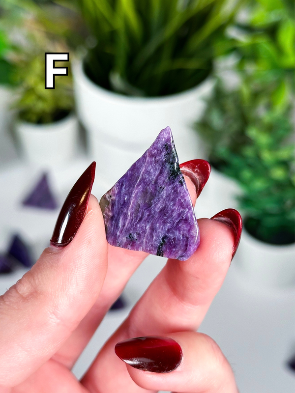 Charoite Polished Freeforms from Russia • Choose Your Own!