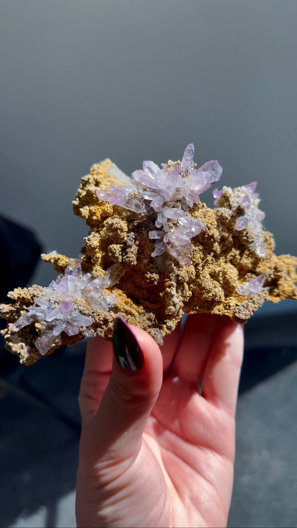 Amethyst "Flowers" with Sceptres, Reverse Sceptres & Calcite Associations on Matrix from "La Troje" Mine in Veracruz, Mexico (New Find!)