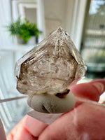 Smokey Fenster Quartz From Mt Goboboseb Namibia #2