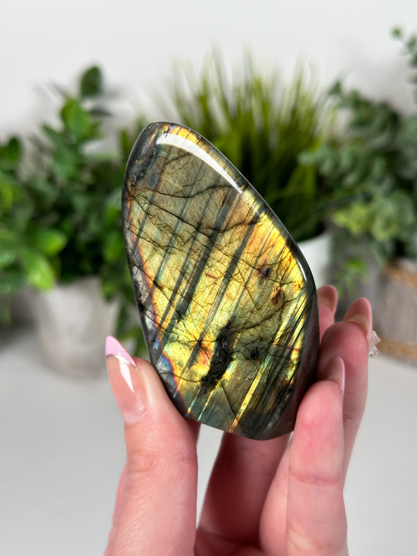 Labradorite Freeform From Madagascar