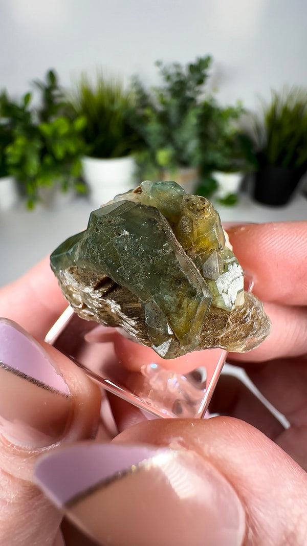 Apatite from Sapo Mine Brazil