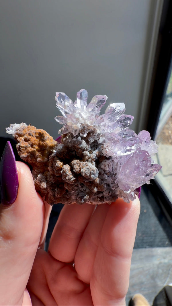 Amethyst "Flowers" with Sceptres, Reverse Sceptres & Calcite Associations on Matrix from "La Troje" Mine in Veracruz, Mexico (New Find!)