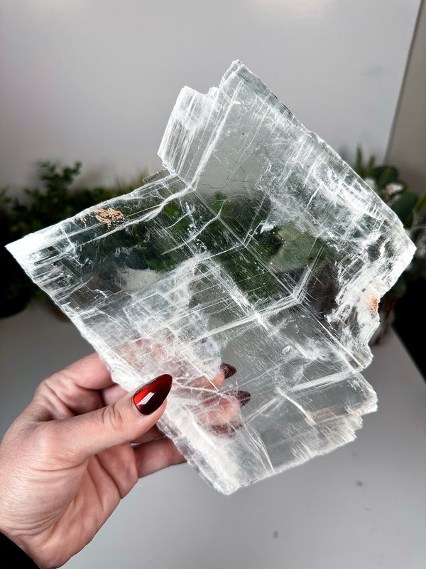 XL Water Clear Selenite From Utah