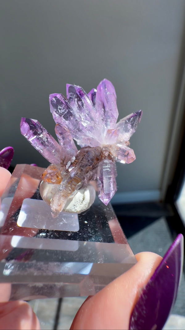 Amethyst "Flowers" with Sceptres, Reverse Sceptres & Calcite Associations on Matrix from "La Troje" Mine in Veracruz, Mexico (New Find!)
