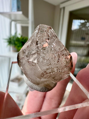 Smokey Fenster Quartz From Mt Goboboseb Namibia #2