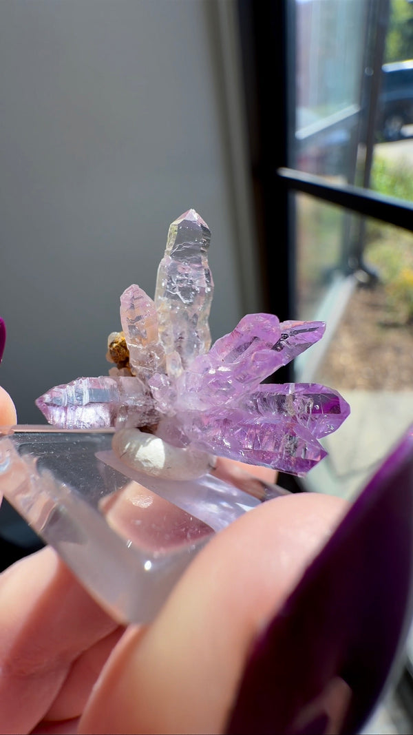 Amethyst "Flower" / "Starburst" with Sceptres, Reverse Sceptres & Calcite Associations from "La Troje" Mine in Veracruz, Mexico (New Find!)