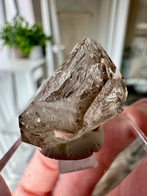 Smokey Fenster Quartz From Mt Goboboseb Namibia #2