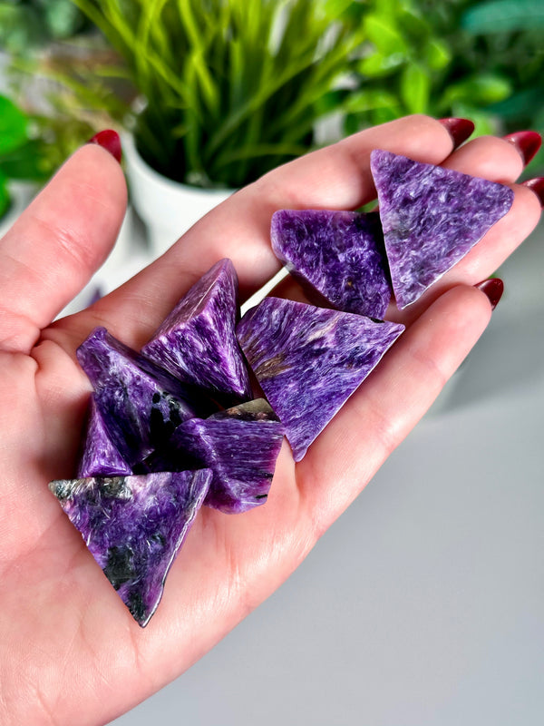 Charoite Polished Freeforms from Russia • Choose Your Own!