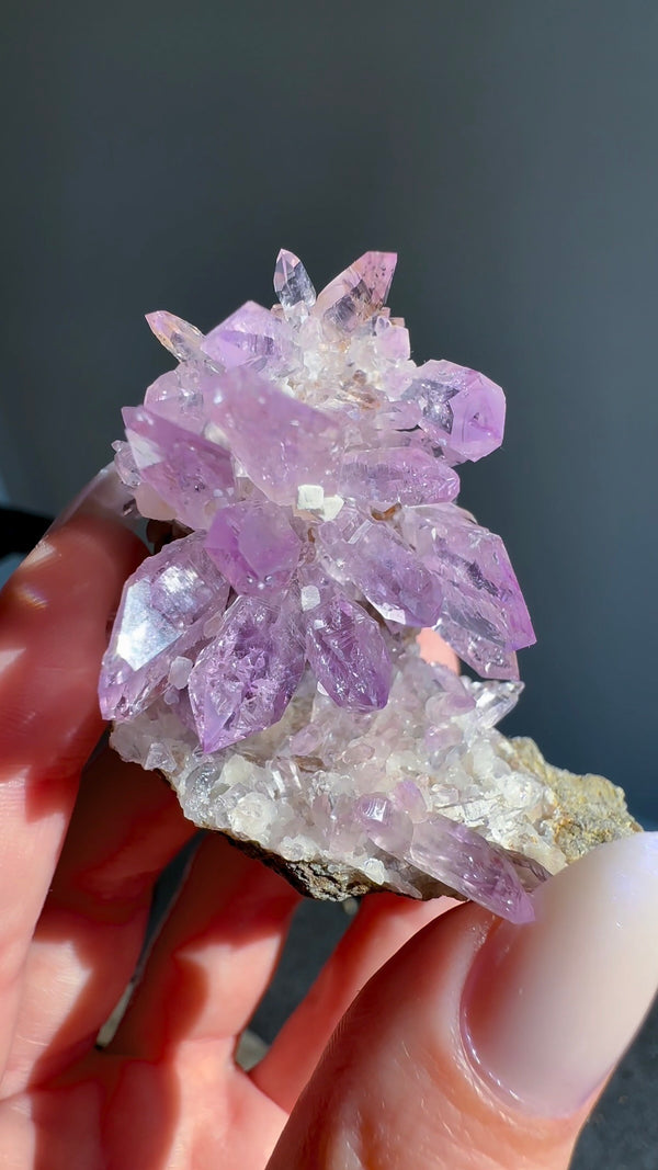 Amethyst "Flowers" with Sceptres, Reverse Sceptres & Calcite Associations on Matrix from "La Troje" Mine in Veracruz, Mexico (New Find!)