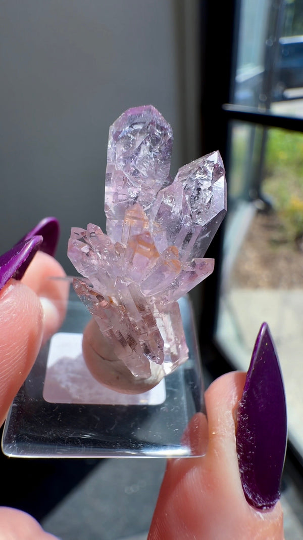 Amethyst "Flower" / "Starburst" with Sceptres & Reverse Sceptres from "La Troje" Mine in Veracruz, Mexico (New Find!)