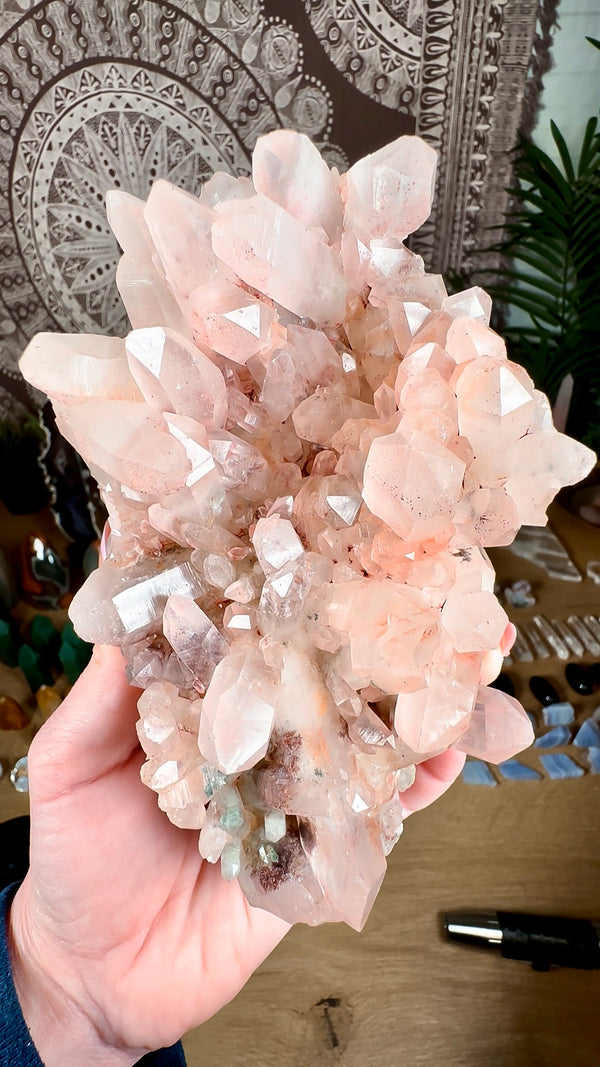 Himalayan Pink Samadhi Quartz Cluster with Chlorite and Lodalite Inclusions • XL Pink Samadhi Quartz w/ Custom Display Stand