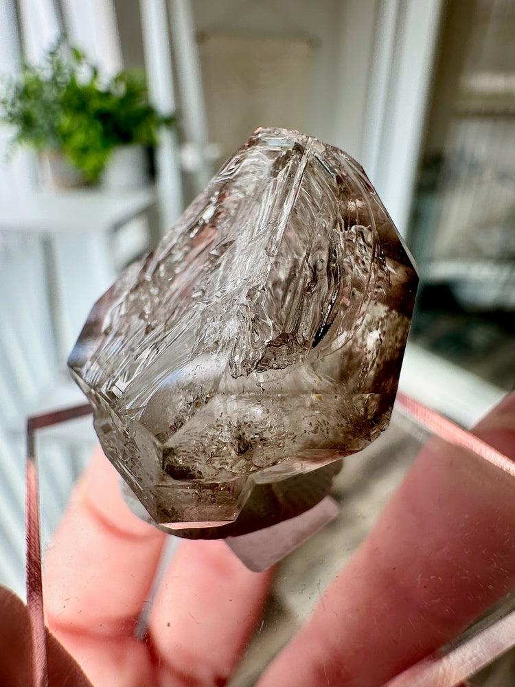 Smokey Fenster Quartz From Mt Goboboseb Namibia #2