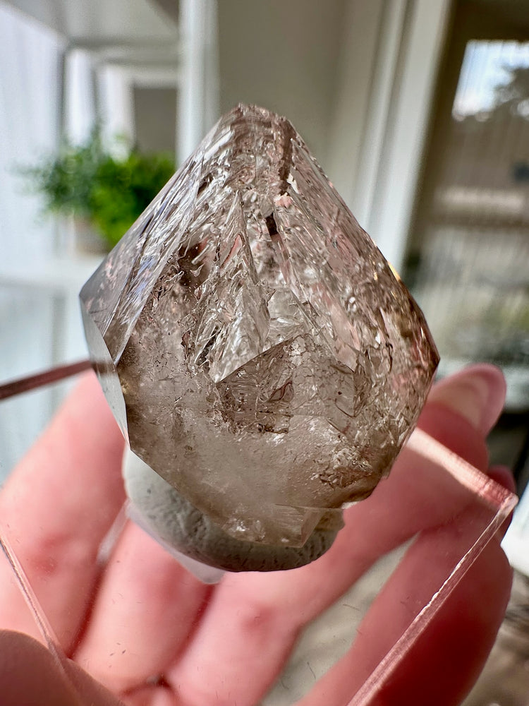 Smokey Fenster Quartz From Mt Goboboseb Namibia #2