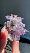 Amethyst "Flowers" with Sceptres, Reverse Sceptres & Calcite Associations on Matrix from "La Troje" Mine in Veracruz, Mexico (New Find!)