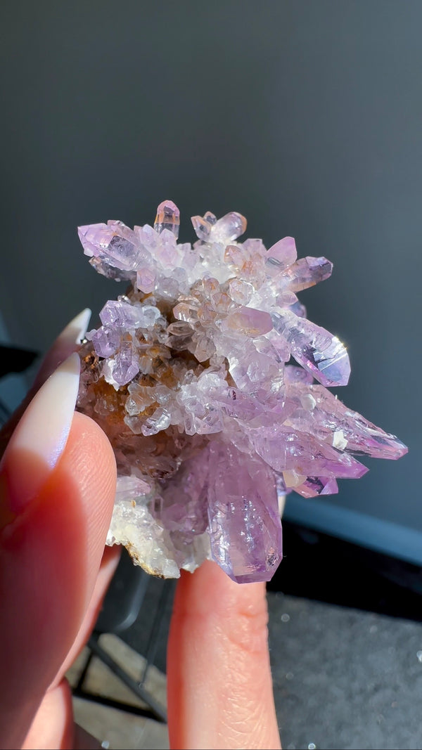 Amethyst "Flowers" with Sceptres, Reverse Sceptres & Calcite Associations on Matrix from "La Troje" Mine in Veracruz, Mexico (New Find!)