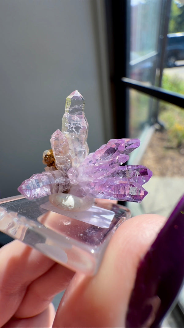 Amethyst "Flower" / "Starburst" with Sceptres, Reverse Sceptres & Calcite Associations from "La Troje" Mine in Veracruz, Mexico (New Find!)