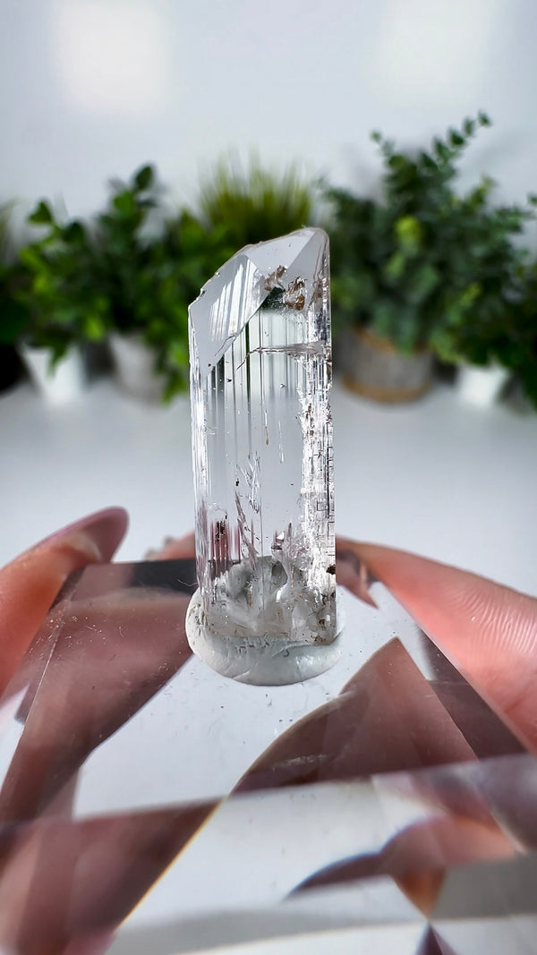 Gem Danburite Specimen from Aurora Mine, Charcas, San Luis Potosí, Mexico